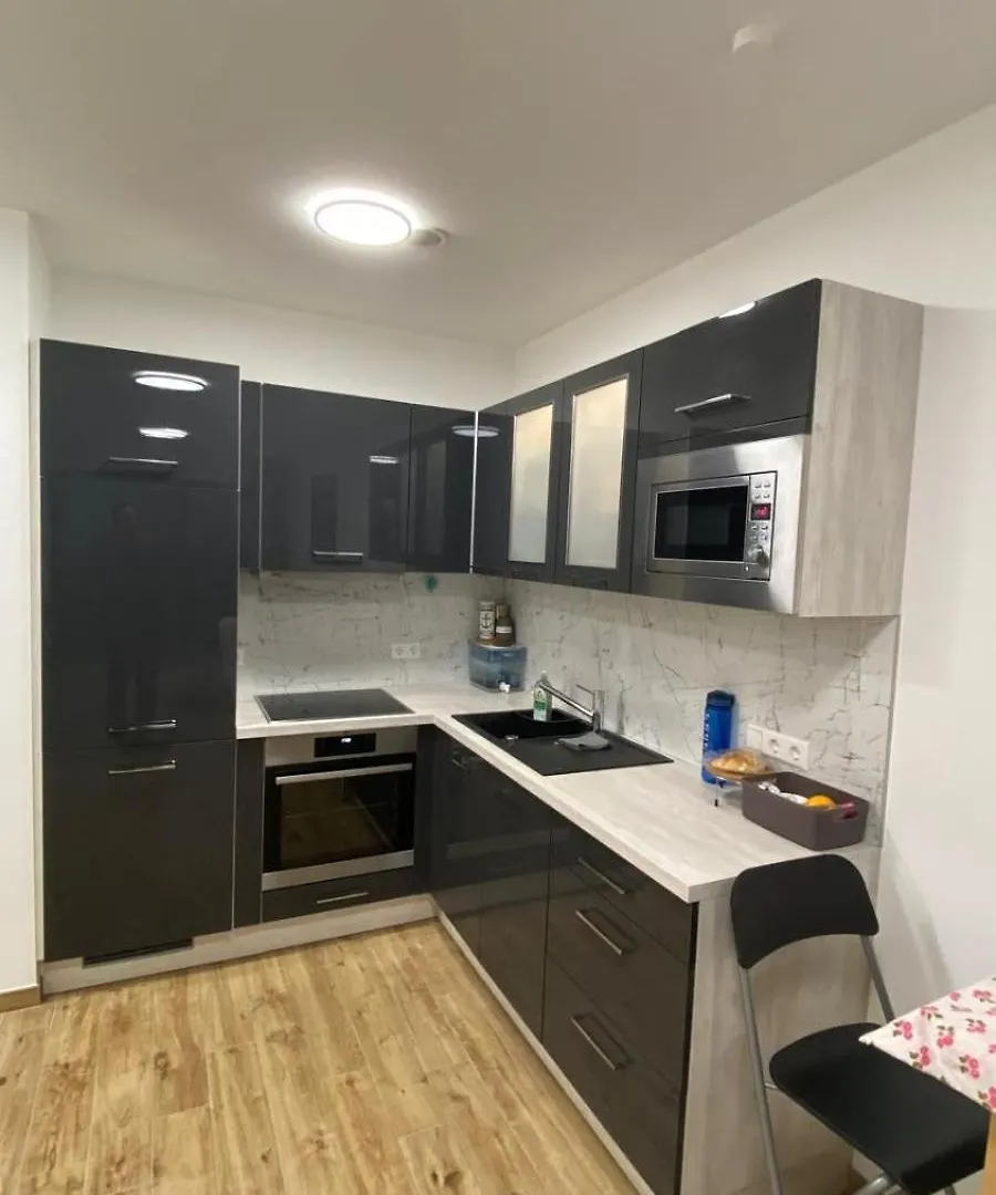Modern Apartment With Free Parking 500M Away Λουξεμβούργο Λουξεμβούργο